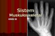 Sistem Muskulo TEMU-1