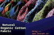 Natural organic cotton fabric