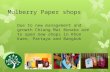 Mulberry paper shops