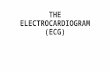 The electrocardiogram (ecg)