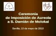 Imposición aureola S. Damian de Molokai