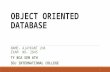 Object Oriented Database Management System