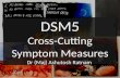 Dsm5 Cross-cutting Symptom Measures