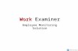 Work Examiner Overview