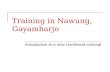 Nawang village project