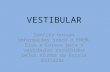 Vestibular modificado okk
