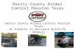 Harris County Animal Control | Houston Texas | Wildlife and Rodents- no dogs or cats!