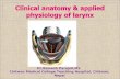 Clinical anatomy and physiology of larynx