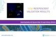 Independent Validation Review: mCherry Tag Antibody (STJ34373)