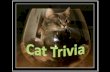 Cat Trivia