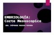 EMBRIOLOGÍA BUCOMAXILOFACIAL Y CORTE MESOSCOPICO