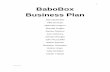 BaboBox Business (Launch) Plan
