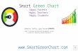 Smart Green Chart, Positive Autism