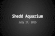Shedd Aquarium Field Trip