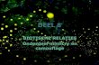 Deel 8  Biotische relaties  Onderdeel mimicry en camouflage