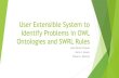 RuleML2015: User Extensible System to Identify Problems in OWL Ontologies and SWRL Rules