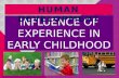 Influence of experience in early childhood