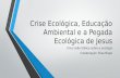 Crise ecológica e educação ambiental