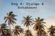 Dag 4: Django & databaser