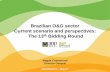 Brazilian O&G sector Current scenario and perspectives: The 13th Bidding Round