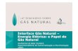 Interface Gás Natural – Energia Elétrica: o Papel do Gás Natural