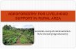 Agroforestry for livelihood support in rural area