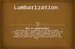 Pp for lumbarization and sacralization by Dr Dhruv Taneja Assistant Professor