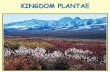 Plant kingdom [2015]