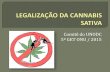 Apresentação sobre a  legalização da cannabis
