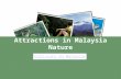 Malaysia Nature Attractions