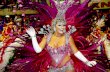 The Amazing Carnival In Rio
