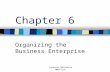 Organizing The Business Enterprise Leonardo Matarrese