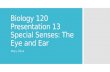 Chapter 13 - Special Senses: Eye and Ear Abbreviations