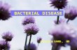 Bacterial Infection (แพทย์)