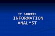 IT CAREER: INFORMATION ANALYST What does an Information ...
