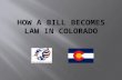How A Bill Becomes Law In Colorado