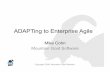 ADAPTing to Enterprise Agile