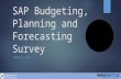 Sap budgeting, planning and forecasting survey jan 2014