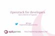 Openstack for developers Appsterdam Weekly Wednesday Lunch Lectures