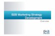 Business Marketing Strategy Development