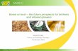 Boom or bust – the future prospects for biofuels and oilseed growers