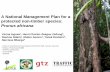 A National Management Plan for a protected non-timber CITES listed tree species: Prunus africana