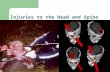27)Injuries To The Head And Spine