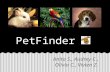 Java Jarvis - PetFinder