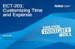 Deltek Insight 2011: Customizing Time and Expense