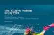 The Evolution of the Hadoop Ecosystem