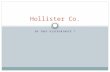 Hollister co