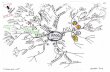 Mind maps histology lymphoid tissue gartner 2014