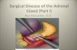 Adrenal gland Surgery(1)