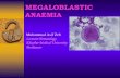 Megaloblastic  anemia